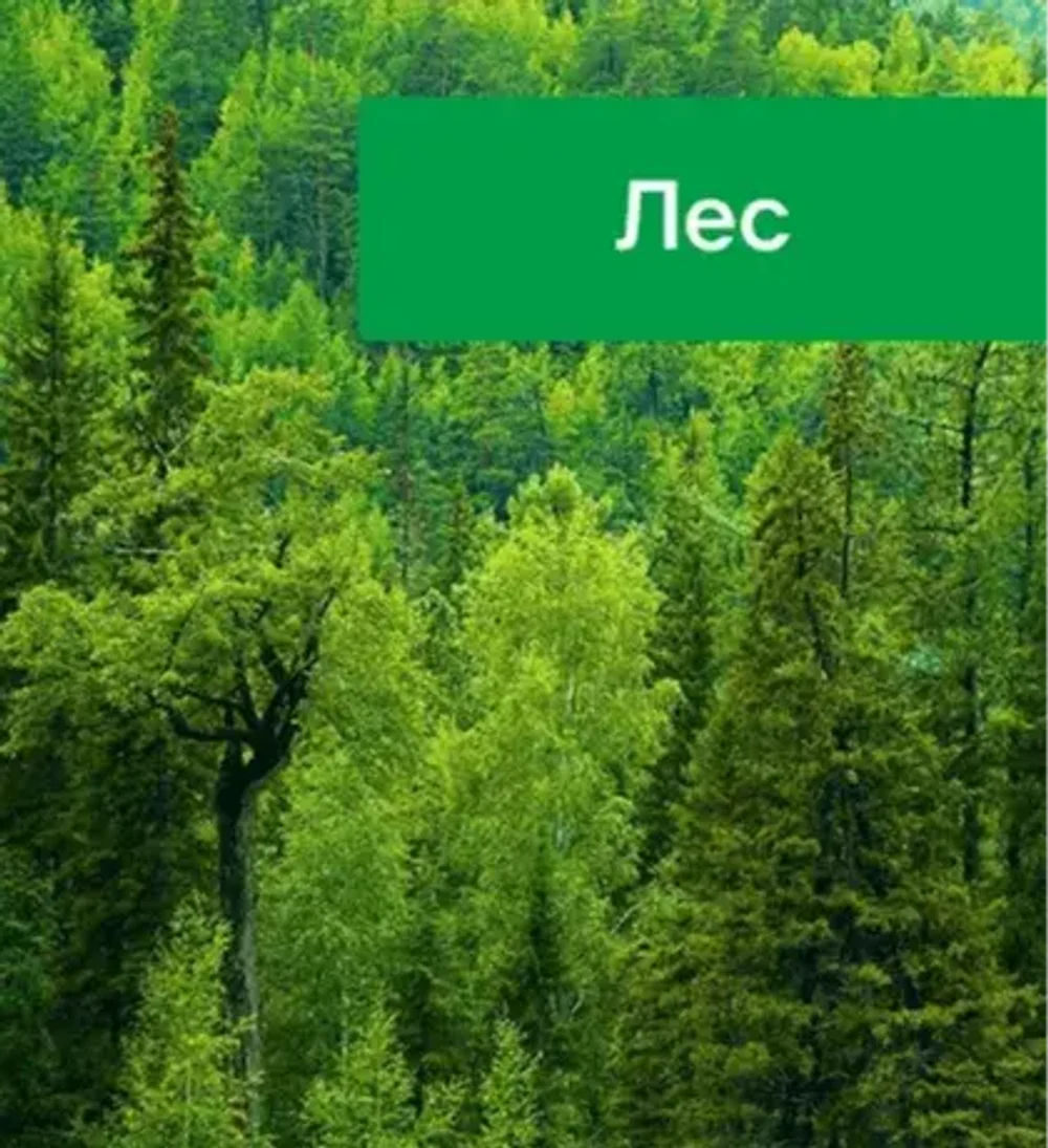Найдите свой идеальный оттенок
